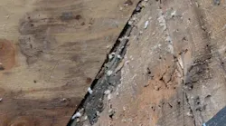 E8w D0e8 Vv Lse37a Nf Cze Za Lueh F Ji86 Ib J Ua7i Mtq Y E8w D0e8 Vv Lse37a Nf Cze Za Lueh F Ji86 Ib J Ua7i Mtq Y