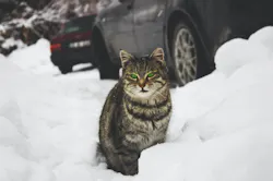 1671738165394 Pexelsrevacfilmsphotography342159 1671738165394 Pexelsrevacfilmsphotography342159