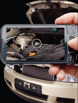 1673040432058 Picture0613 1673040432058 Picture0613