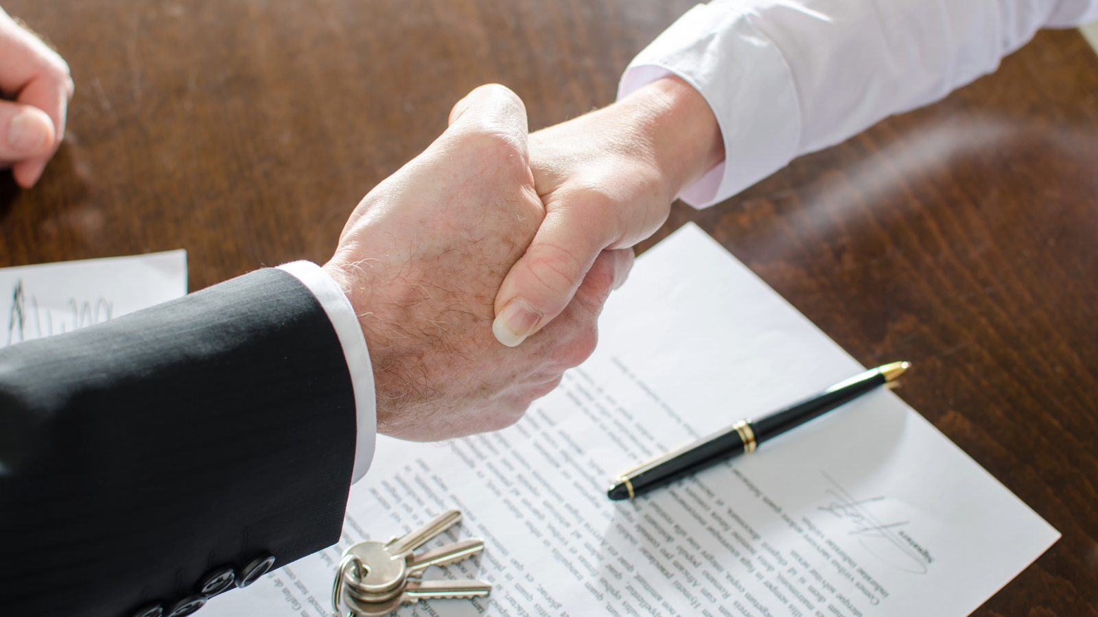 Bunch 5 6515b1641f3de