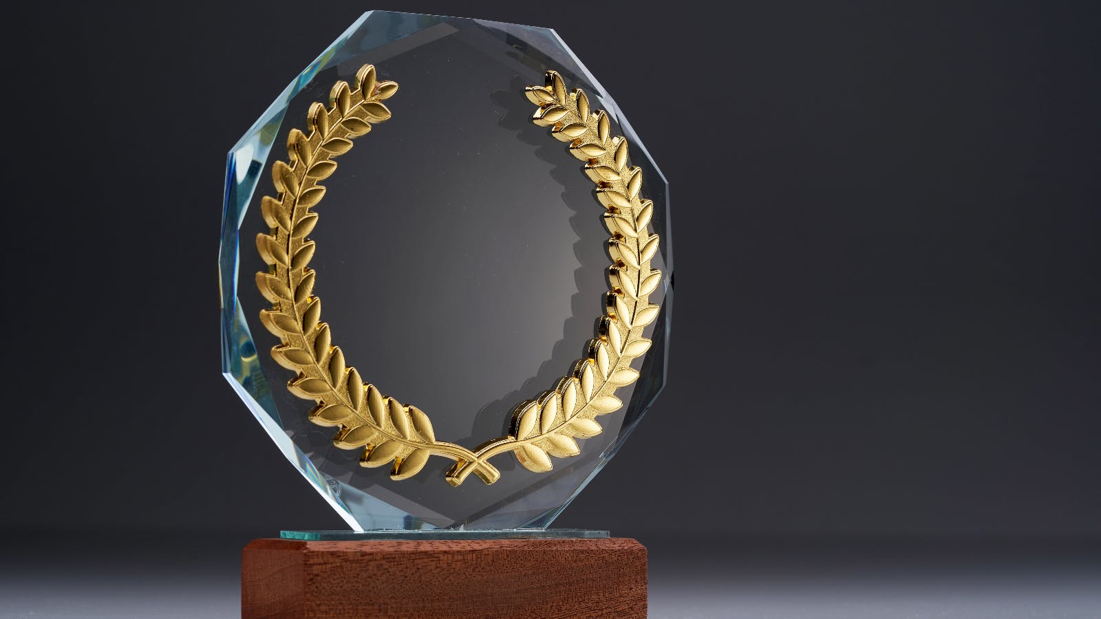 6570884c8b4b01001e1dfd3b Award 1