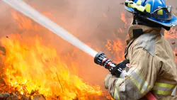 6571d55c372752001eddb080 Donate 6571d55c372752001eddb080 Donate