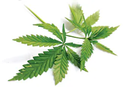 1307rdhfhub01 1307rdhfhub01