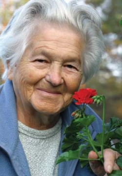 by Karen Donaldson, CDA, RDH, BS, EFDA