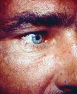 Pennwell web 300 362 Pennwell web 300 362