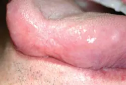 Pennwell web 325 219 Pennwell web 325 219