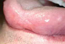 Pennwell web 325 219 Pennwell web 325 219