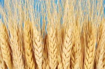 Pennwell web 350 230