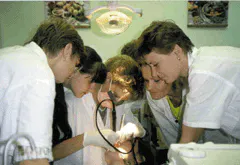 Th Rdh110598 34 Th Rdh110598 34