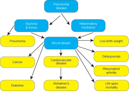Content Dam Rdh Print Articles Volume37 Issue4 1703rdhflep Z01