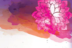 Content Dam Rdh Print Articles Volume37 Issue7 1707rdhfsgi P1 Content Dam Rdh Print Articles Volume37 Issue7 1707rdhfsgi P1