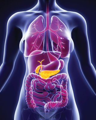 Dreamstime Xl 55282221