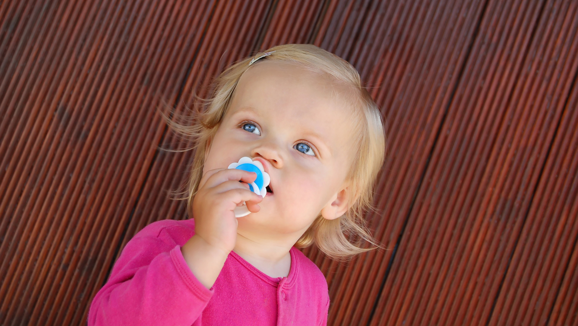 Dreamstime M 76019846