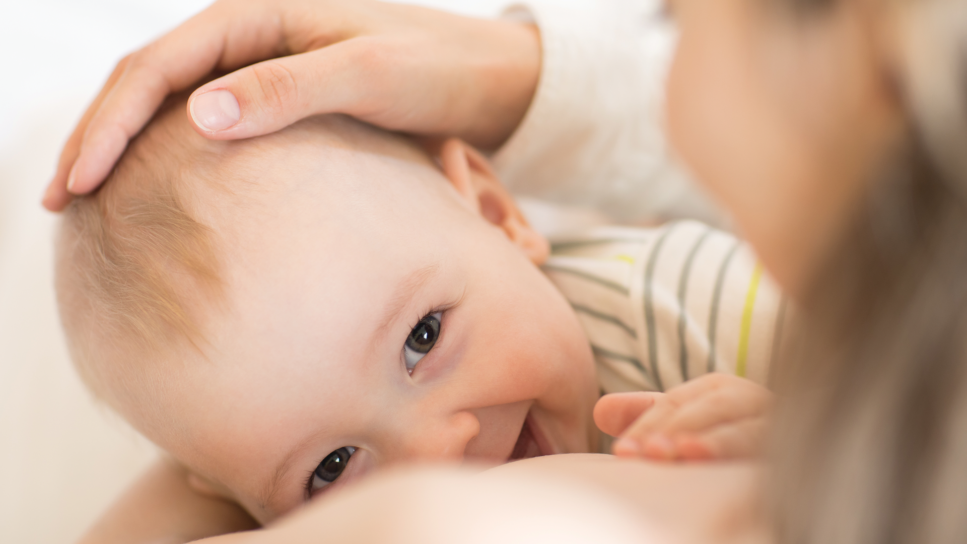 2002 Rd Hstu Primary 5e3c3c23cea5b