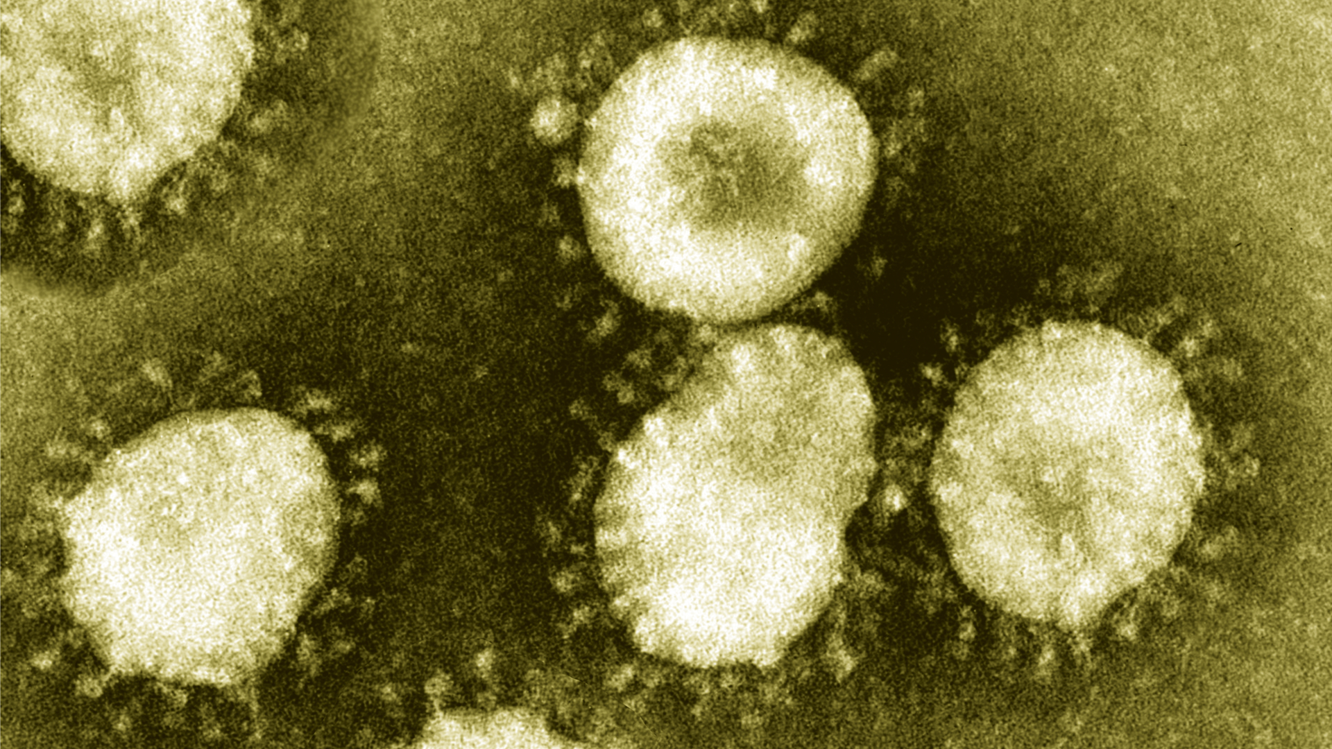 Dreamstime M 171167539