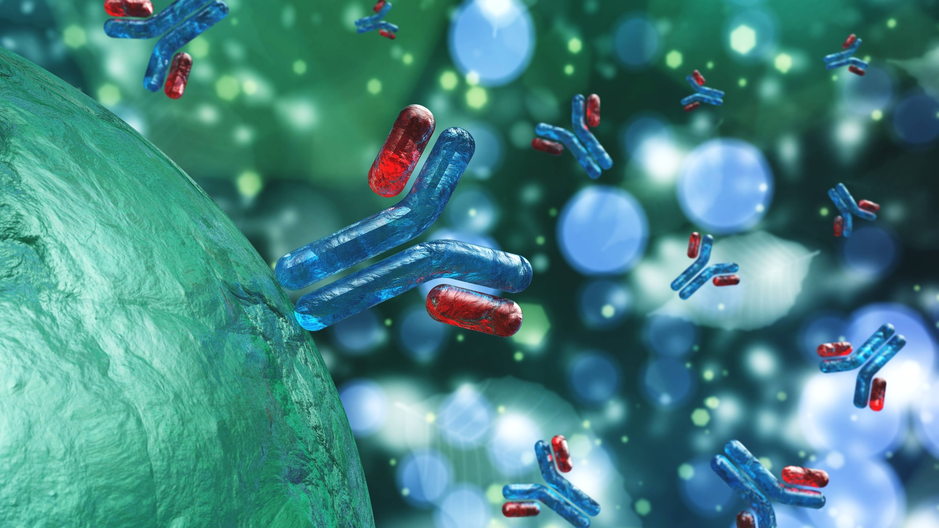 Scientific rendering of human antibodies