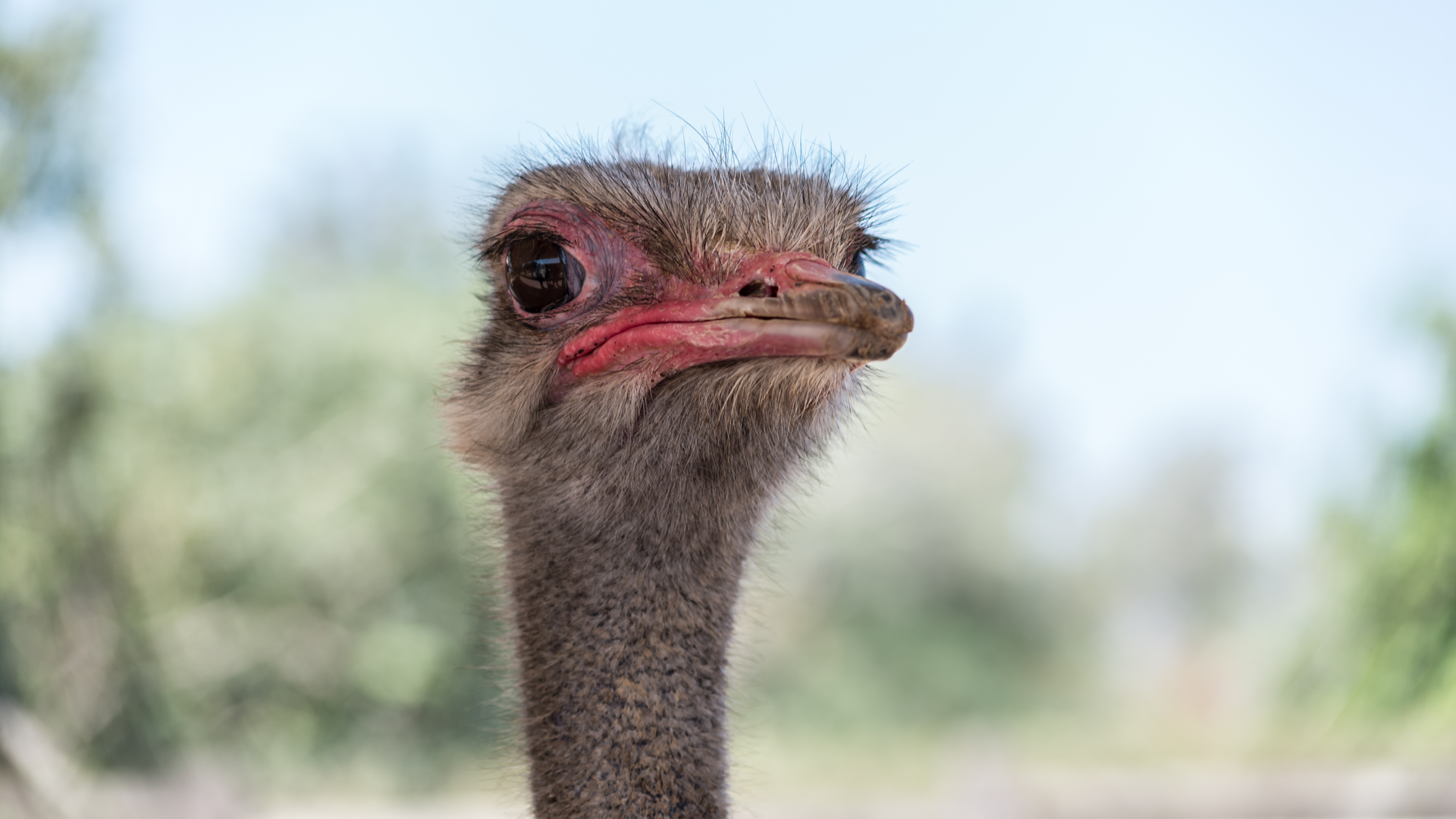 Dreamstime Xxl 147390161