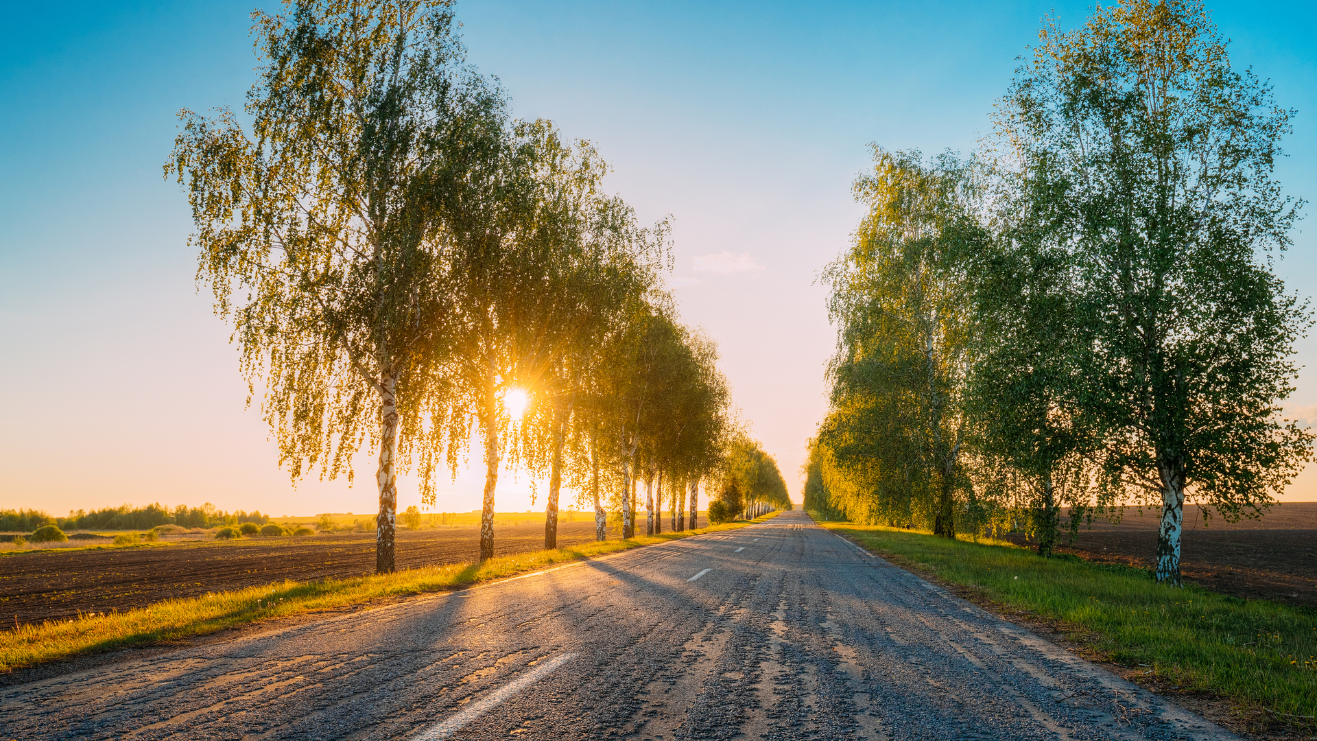 Dreamstime M 92896394 5f591a8bc856d