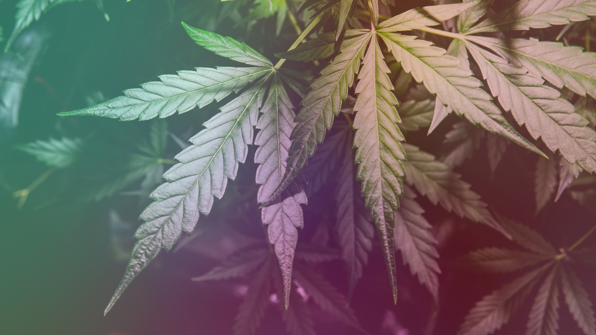 2011 Rd Hshe P01 5fce64b423f6b