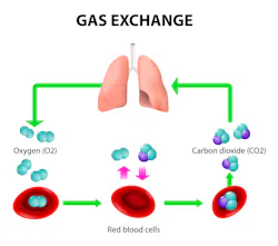 Figure 1: The gas exchange in human respiration Figure 1: The gas exchange in human respiration