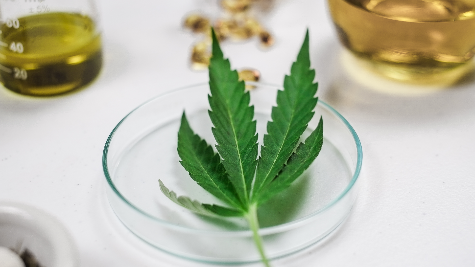 Dreamstime Xxl 161554734 613a2990f1e30