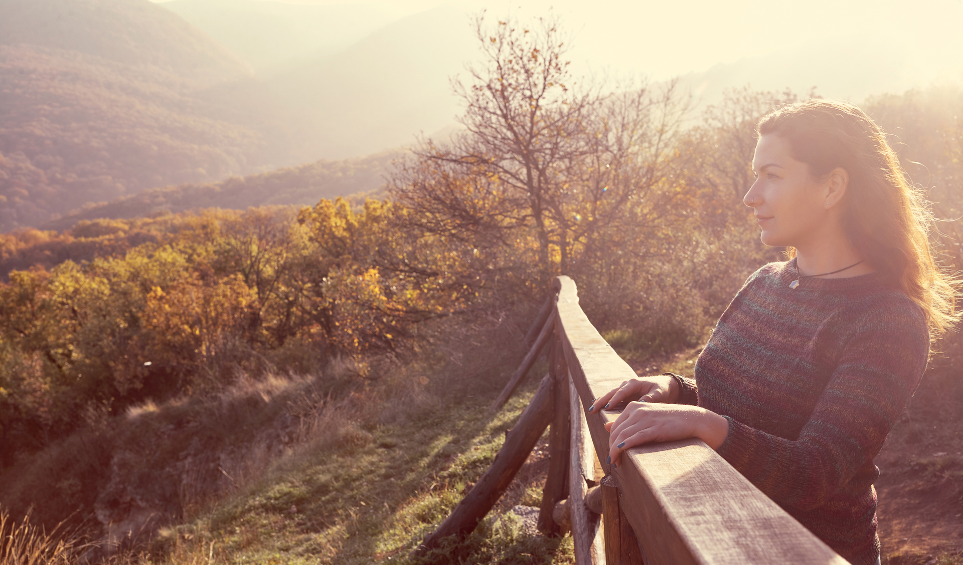 Dreamstime M 210387961 61d602819124c