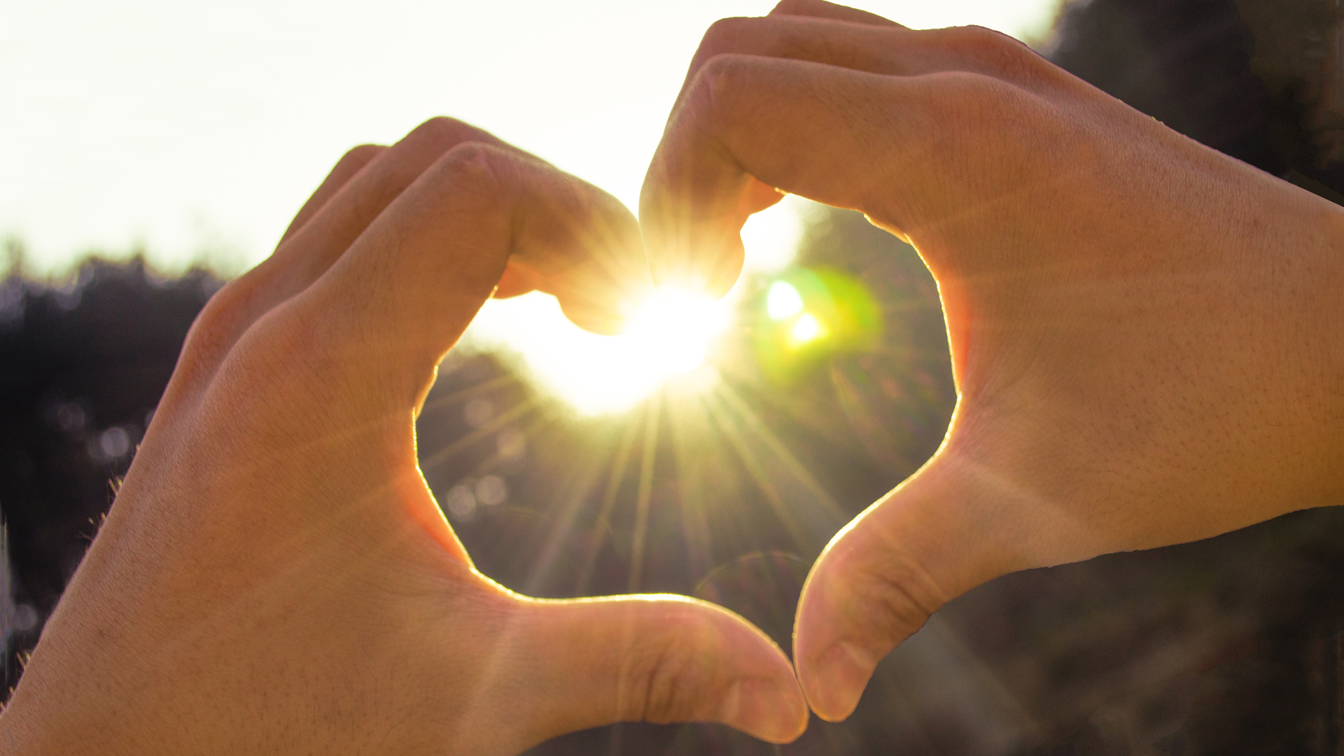 Heart Hands 61df3cb51ce06