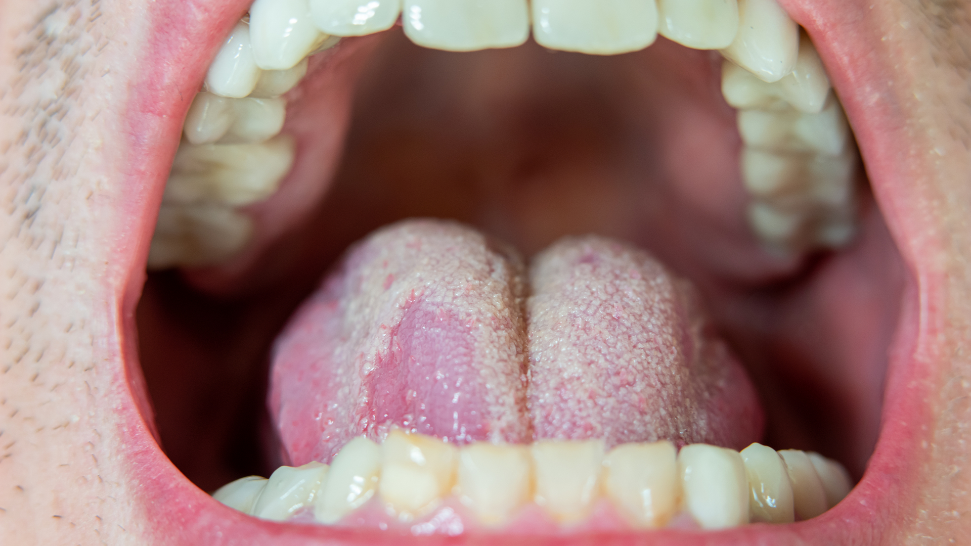 Dreamstime M 234346594 627bffdfb3af0