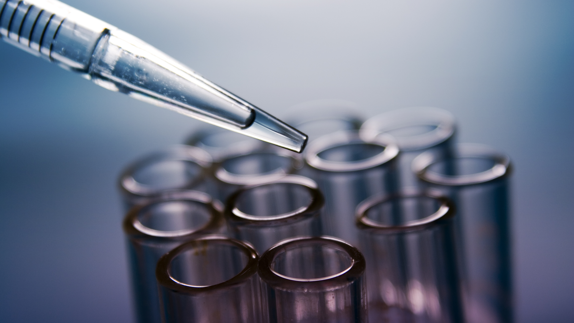 Dreamstime Xxl 1157471