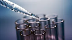 Dreamstime Xxl 1157471 627a702831857 Dreamstime Xxl 1157471 627a702831857