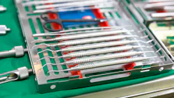 Dreamstime Xl 102587860 62cdc03b22337 Dreamstime Xl 102587860 62cdc03b22337