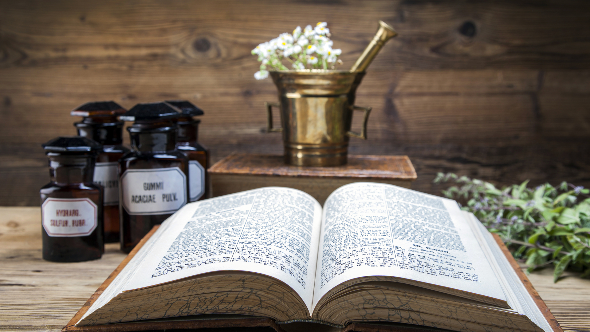 Dreamstime M 44439160 62f6a92cc957b