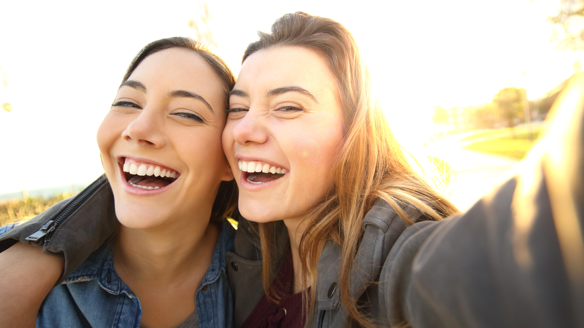 Dreamstime Xxl 87461519