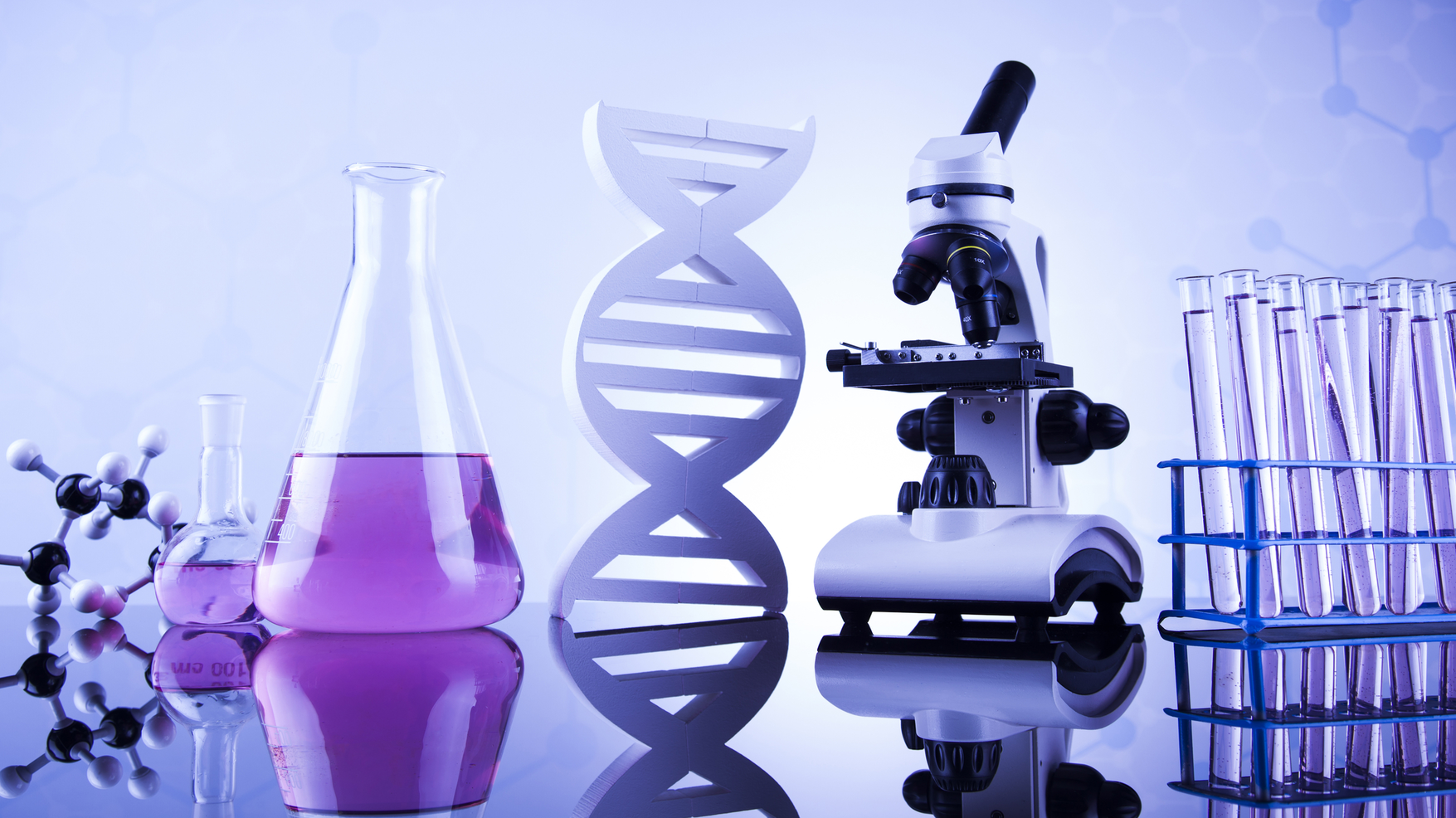 Forensic Dentistry 64b6bf4910937