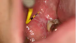 Figure7 65314b4786e2f Figure7 65314b4786e2f