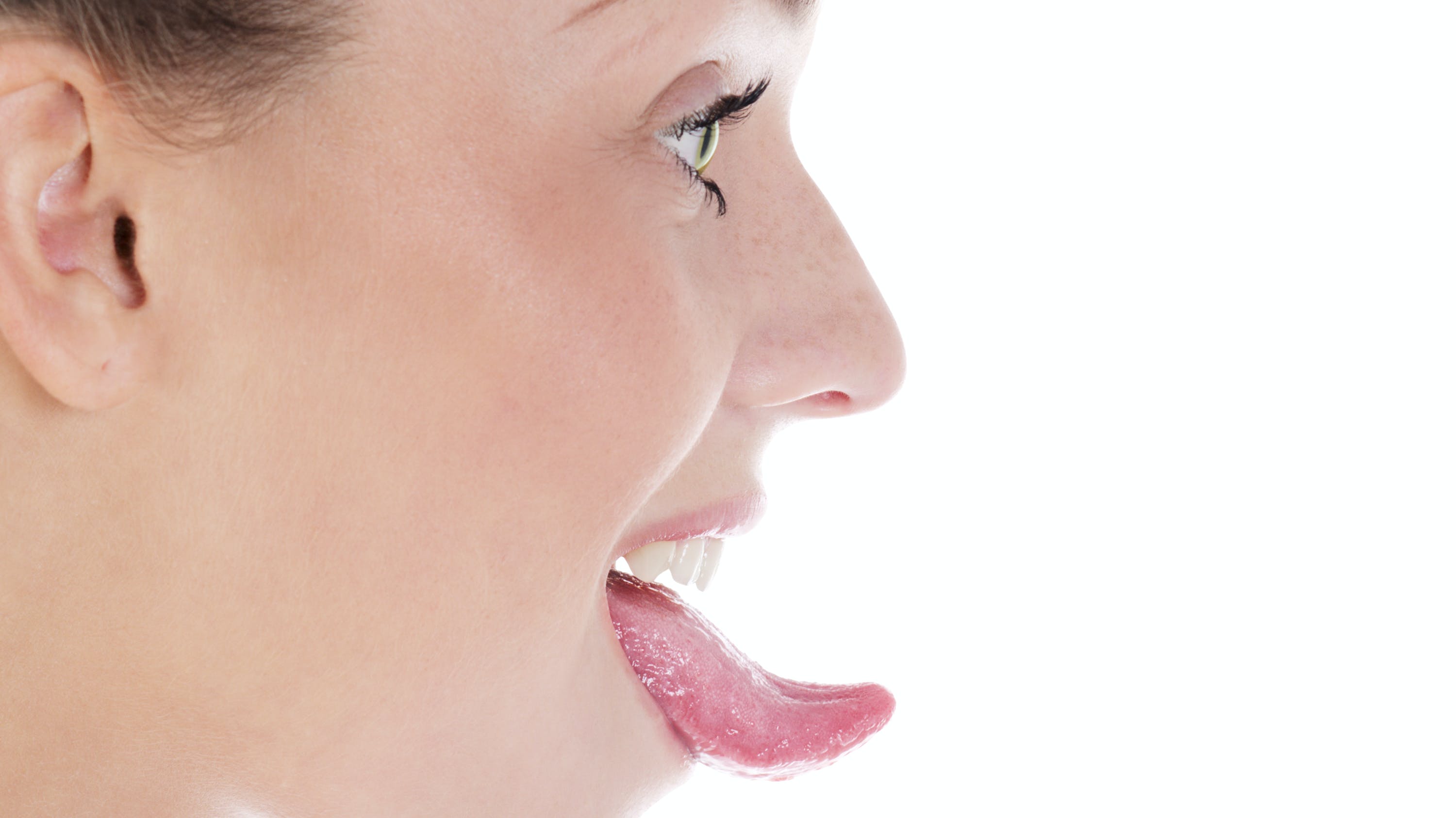 6556808e7cd1a8001e67d31e Dreamstime Xl 19930250