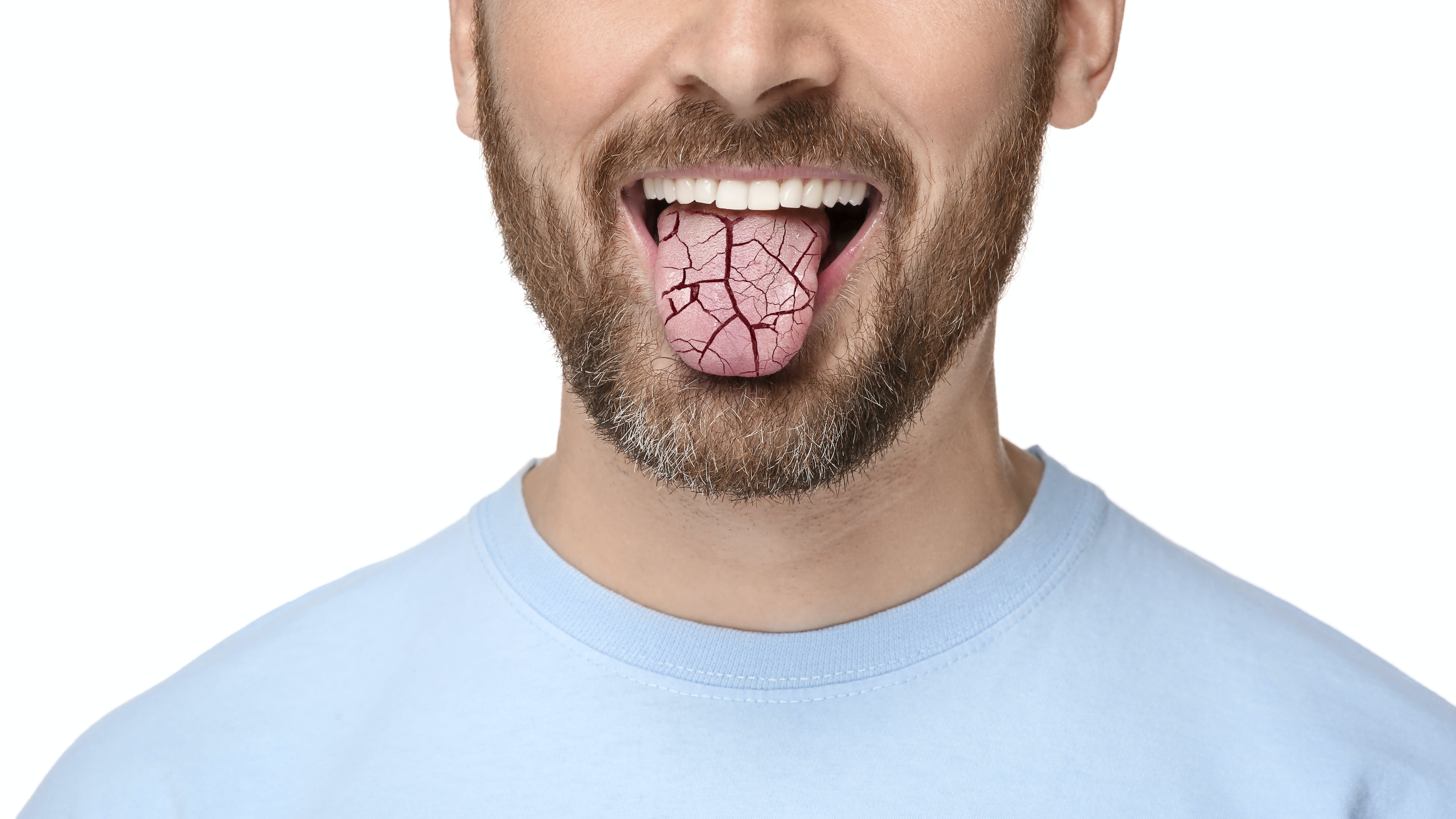 656f2c430cd4bd001ebb6512 Dreamstime Xxl 282565153