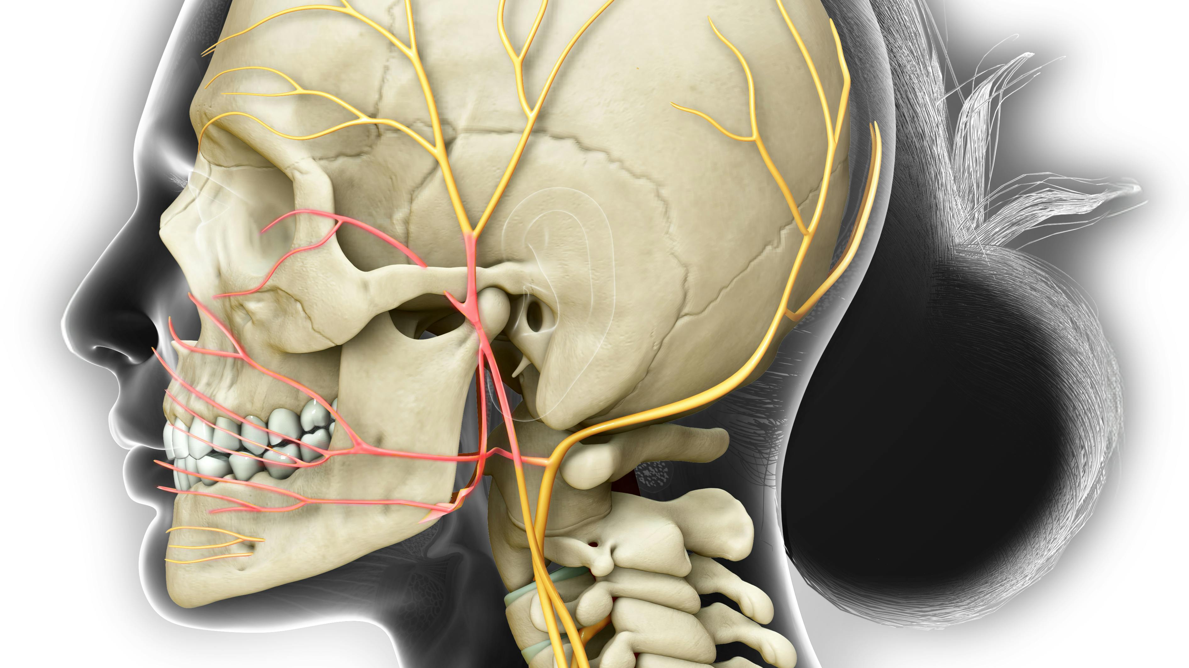 gettyimages1254727277