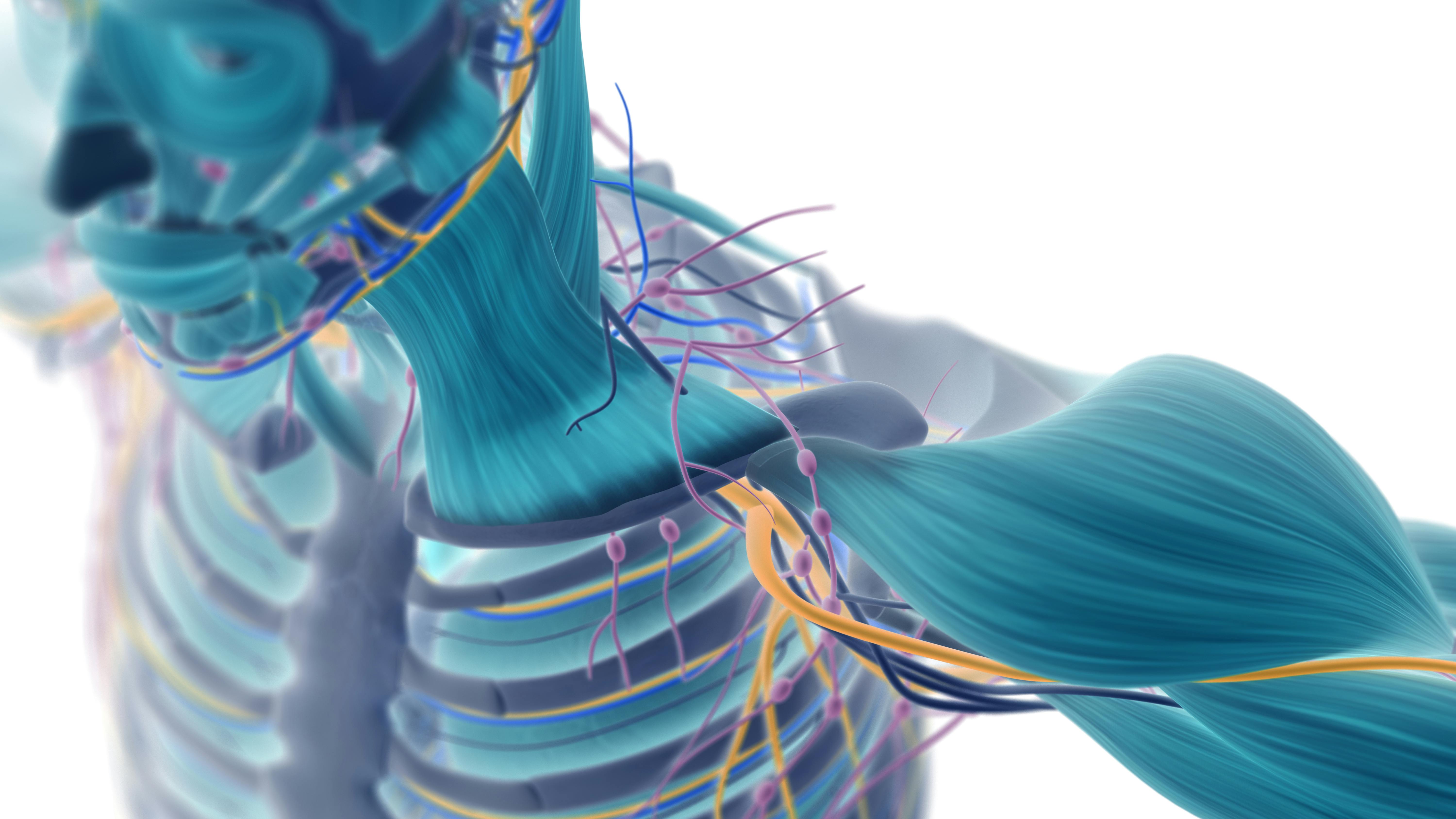 gettyimages544965402