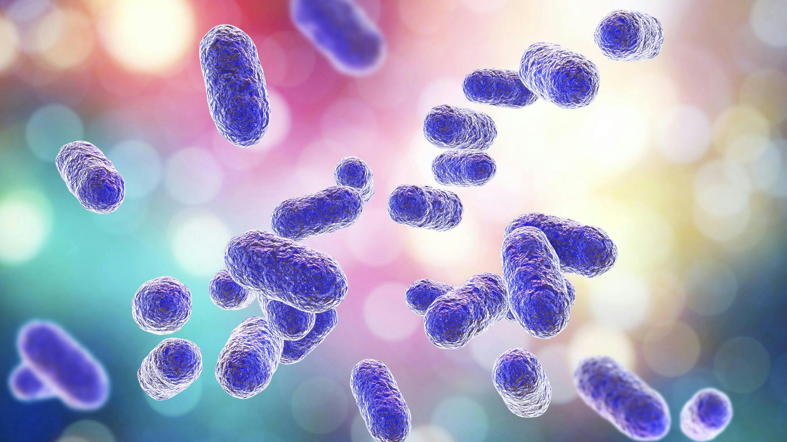 6632581f7f98430008094051 Dreamstime L 105372027