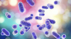 Porphyromonas gingivalis and gingipains Porphyromonas gingivalis and gingipains