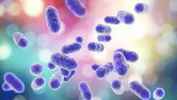 6632581f7f98430008094051 Dreamstime L 105372027 6632581f7f98430008094051 Dreamstime L 105372027