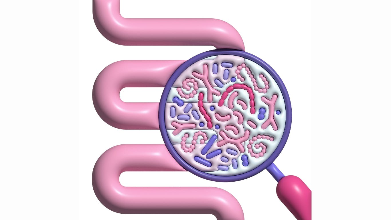 Man vs. microbiota: The human microbiome story