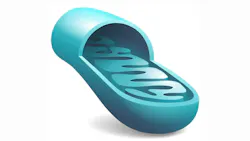 mitochondrial dysfunction, periodontitis, and systemic disease mitochondrial dysfunction, periodontitis, and systemic disease