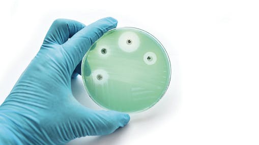 alternative to traditional antibiotics