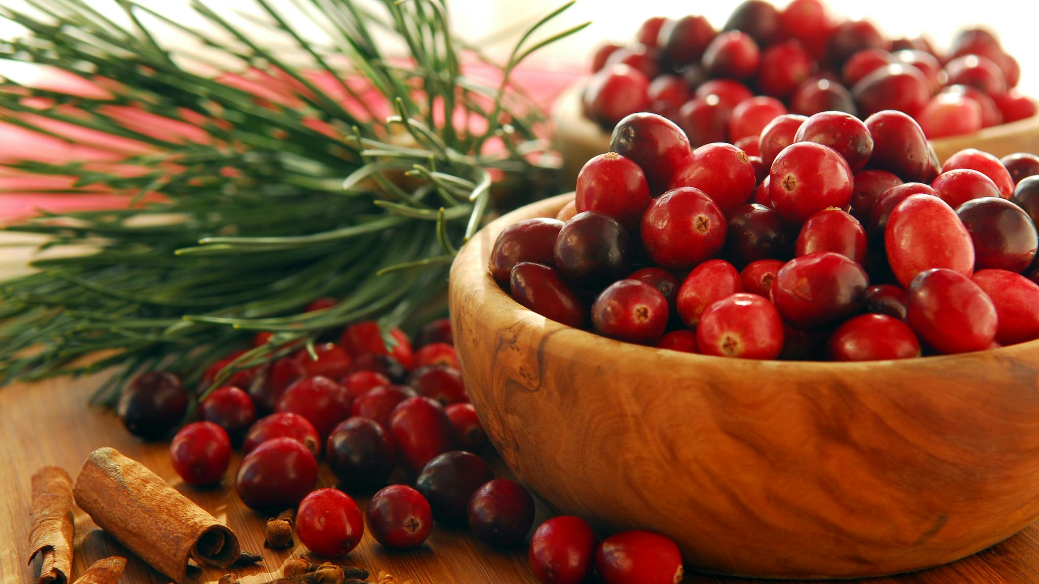 67f3ff48037f4b612144adbb Cranberries For Holistic Oral Health