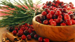 67f3ff48037f4b612144adbb Cranberries For Holistic Oral Health 67f3ff48037f4b612144adbb Cranberries For Holistic Oral Health