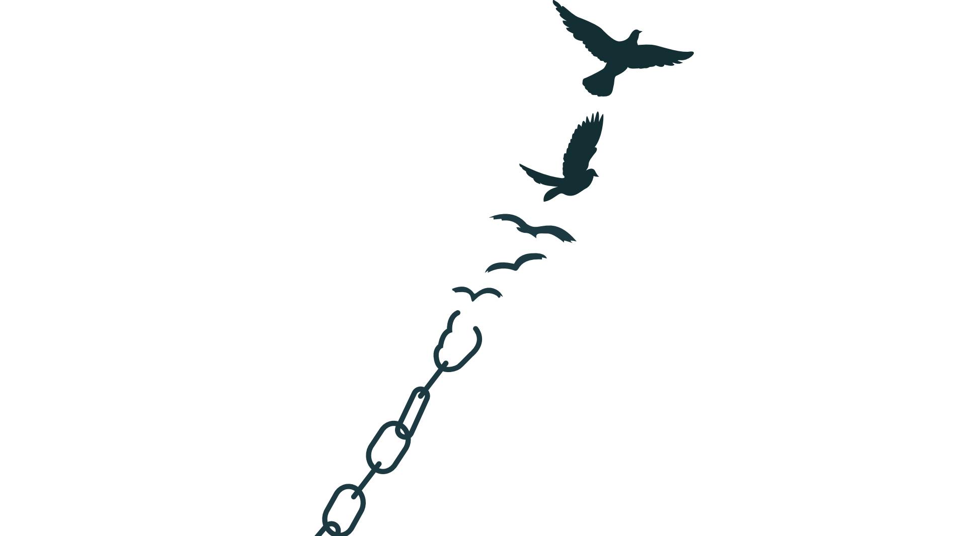 birds flying away from chains