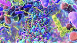 68bf0daeca4c8db755d68cbc Getty 68bf0daeca4c8db755d68cbc Getty