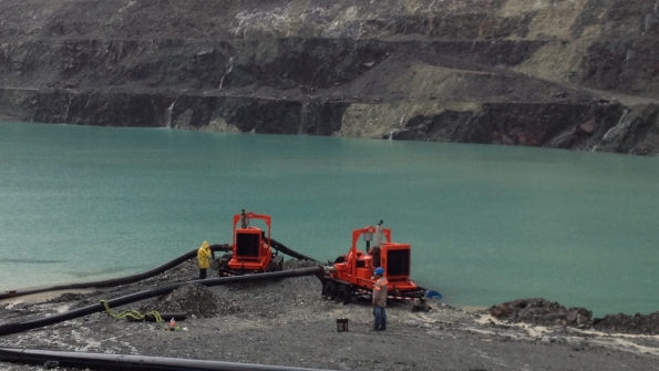 Xylem pumps at work in South America